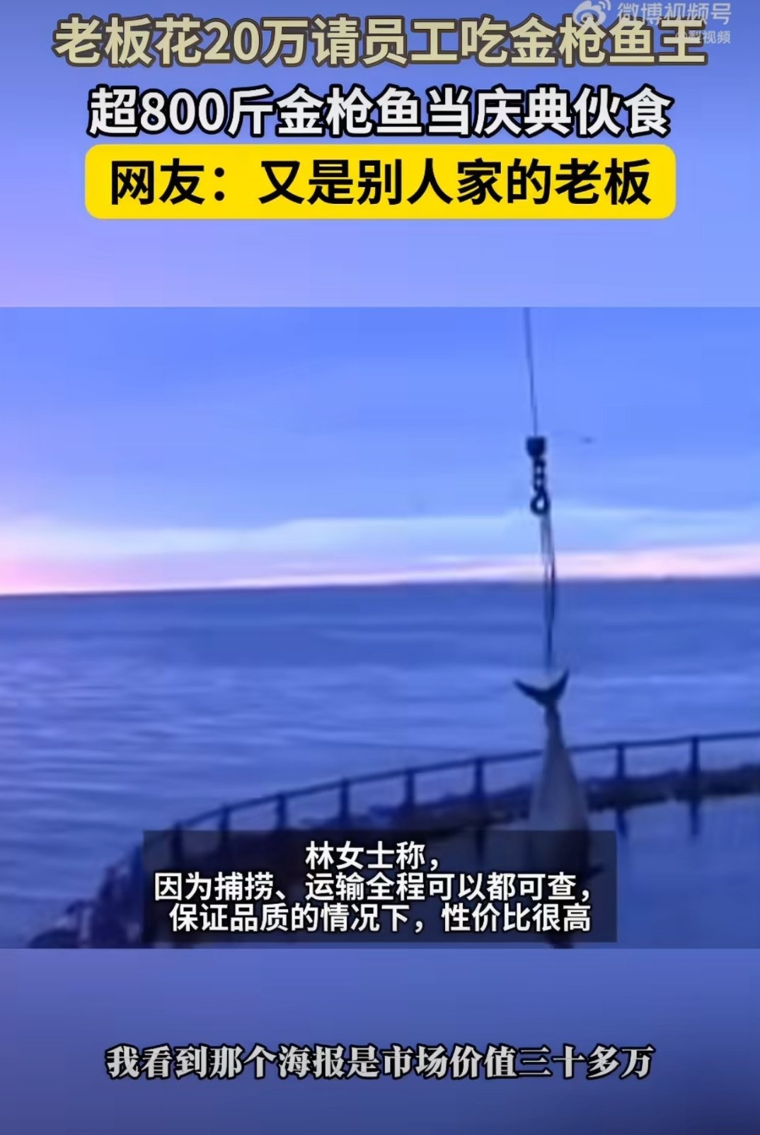 公司团建老板花20万拍下金枪鱼王 现在团建都卷成这样了吗？别人发福利，这家直接上