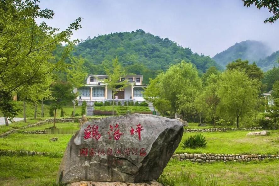 🌿安徽安庆岳西县，海拔高、森林密，夏季平均气温比城市低一大截，空气里全是负氧离