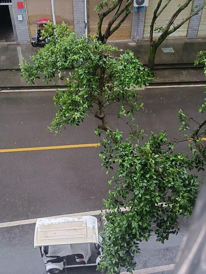 只是为什么眼泪会流，我也不懂