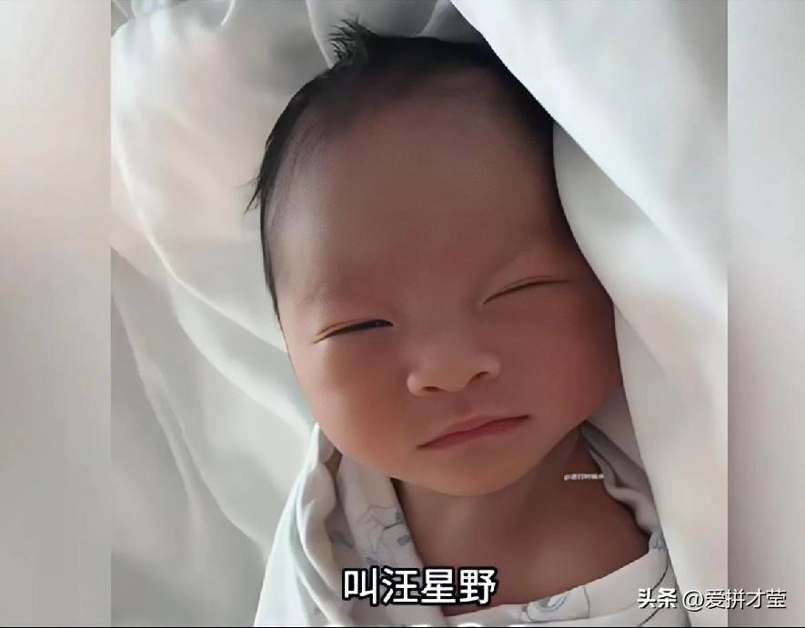 今年春天最想实现的心愿人善被人欺，马善被人骑。。就是因为张兰处处维护汪小菲，善良