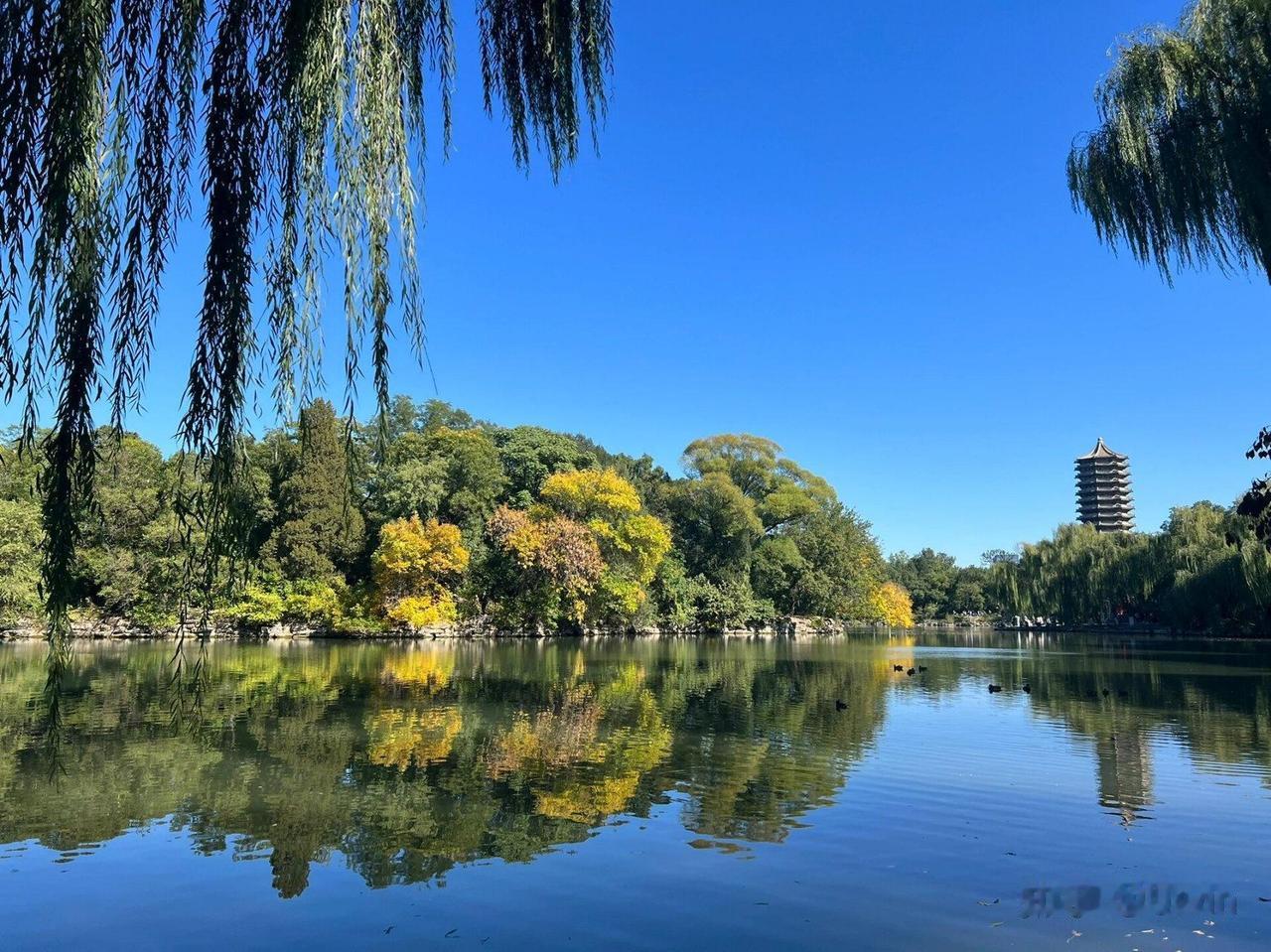 全国31省份大学教师平均年收入排行榜
 
单位：元/年
 
排名 省份 平均年收