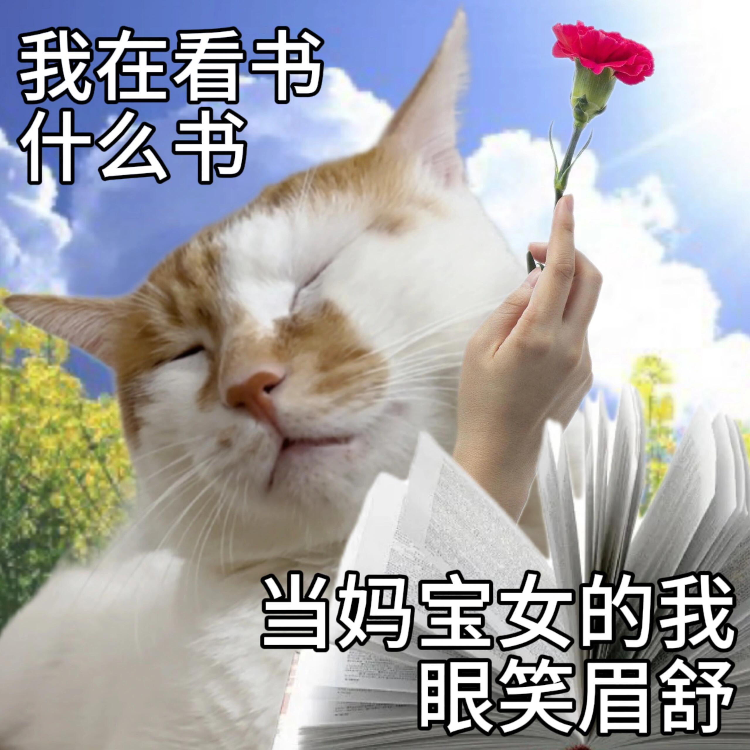 母亲节表情包爱妈我无需多言！！ ​​​