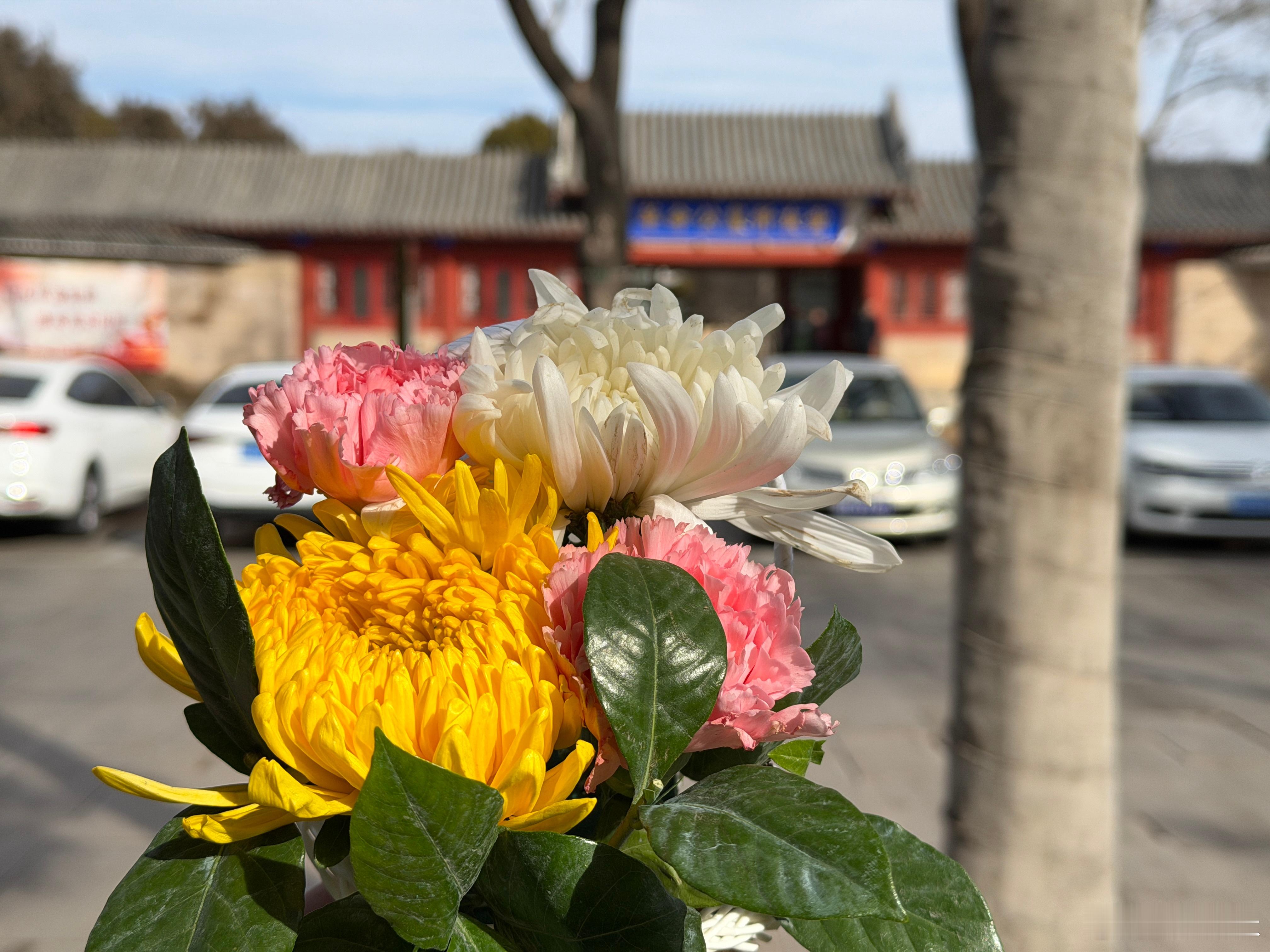 每年过年传统活动 北京