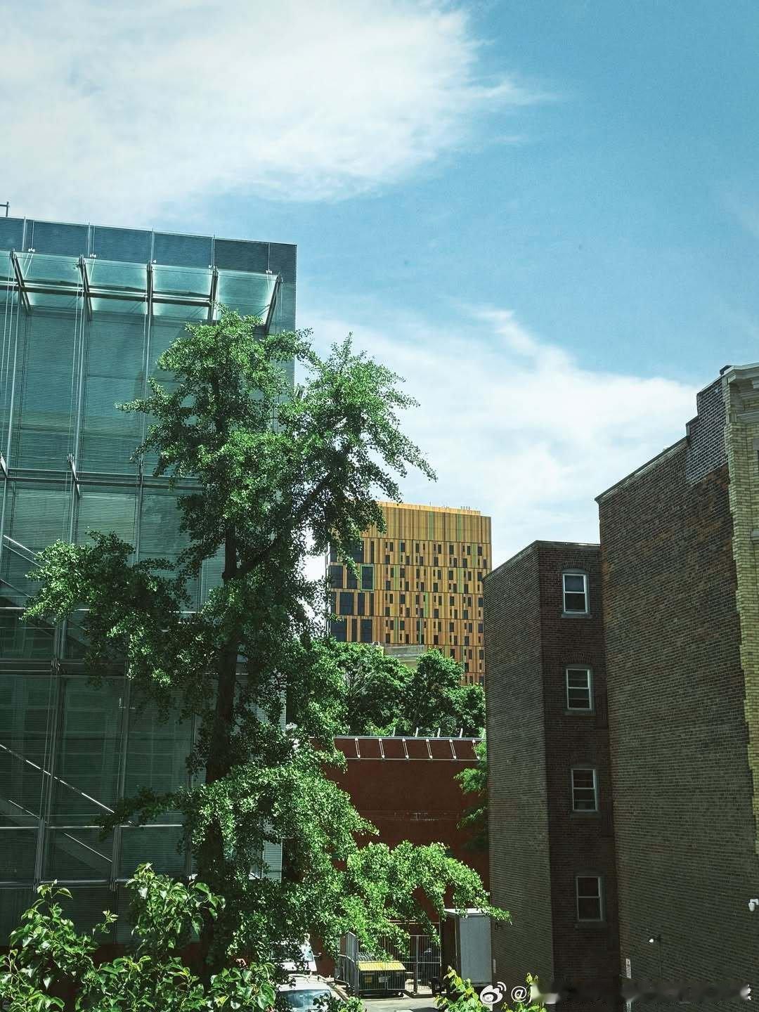 麻省校园日常分享在校普通一天｜早八、自习、干饭、散步，标准校园流程这周的校园生活
