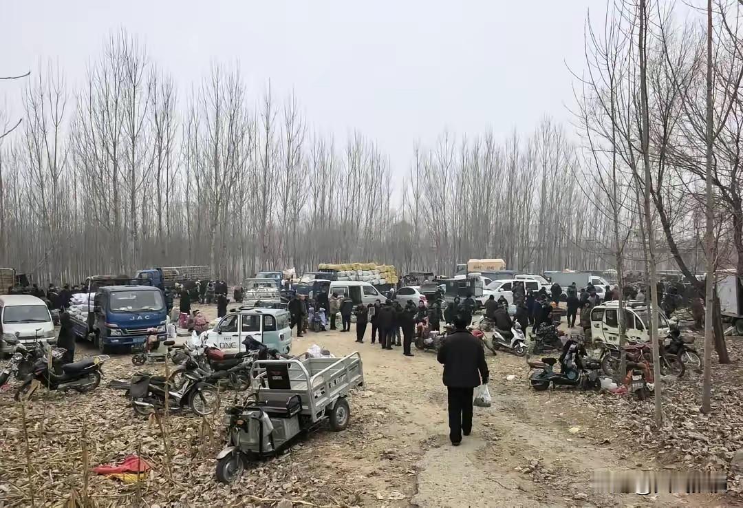 河北因为农村烧煤问题又火了起来，估计省里的宣传部门正在疯狂开会灭火

这事真的戳