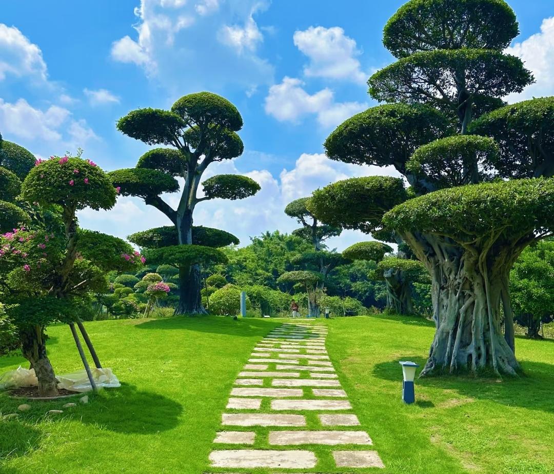 未来三年，普通人活下去的两条保命铁律，越早看懂越安稳
 
大环境下行，挣钱越来越