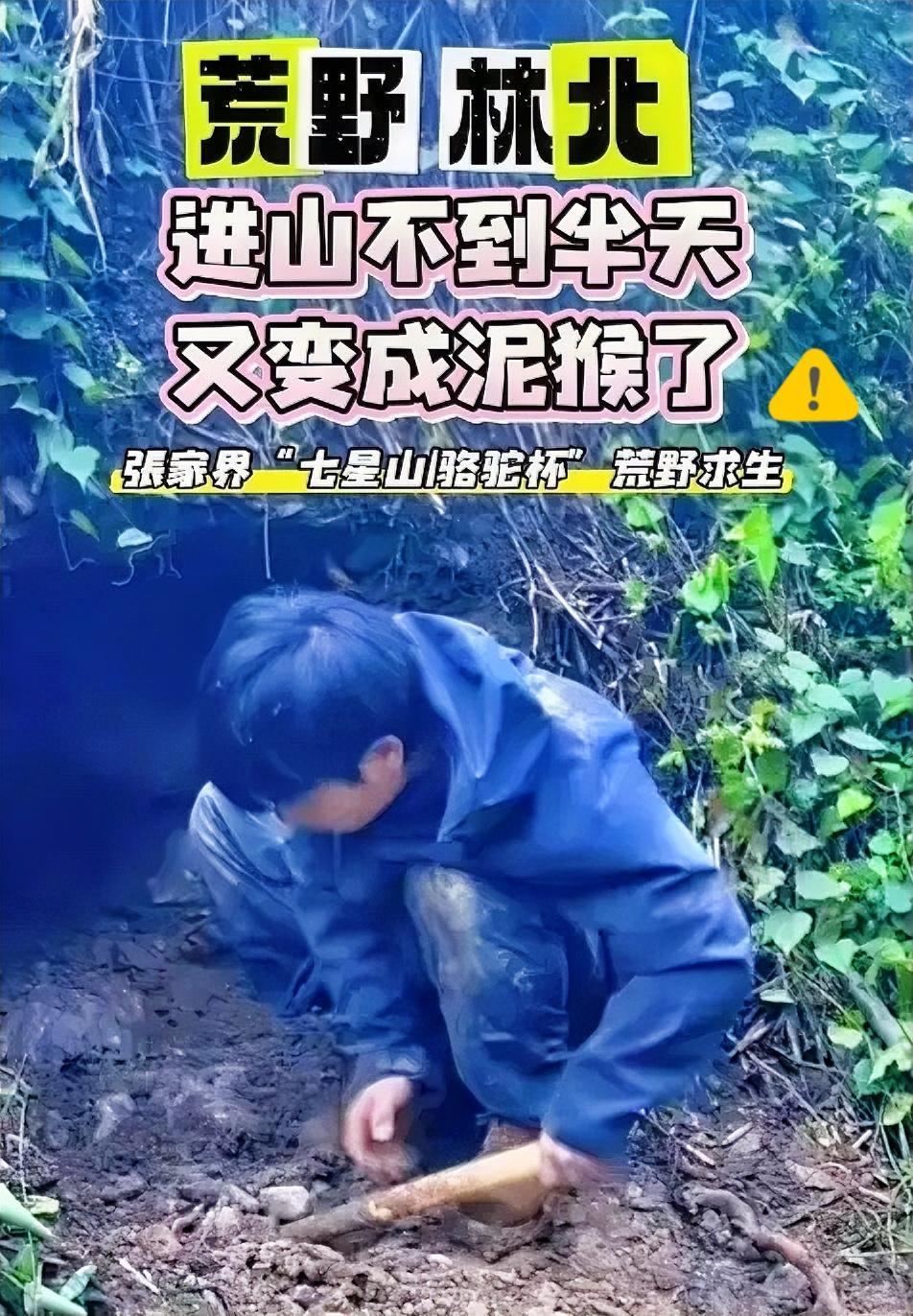 不得不说，荒野林北真是个聪明人！
第一天刚进山不找食物不生火，直奔主题挖洞当住所