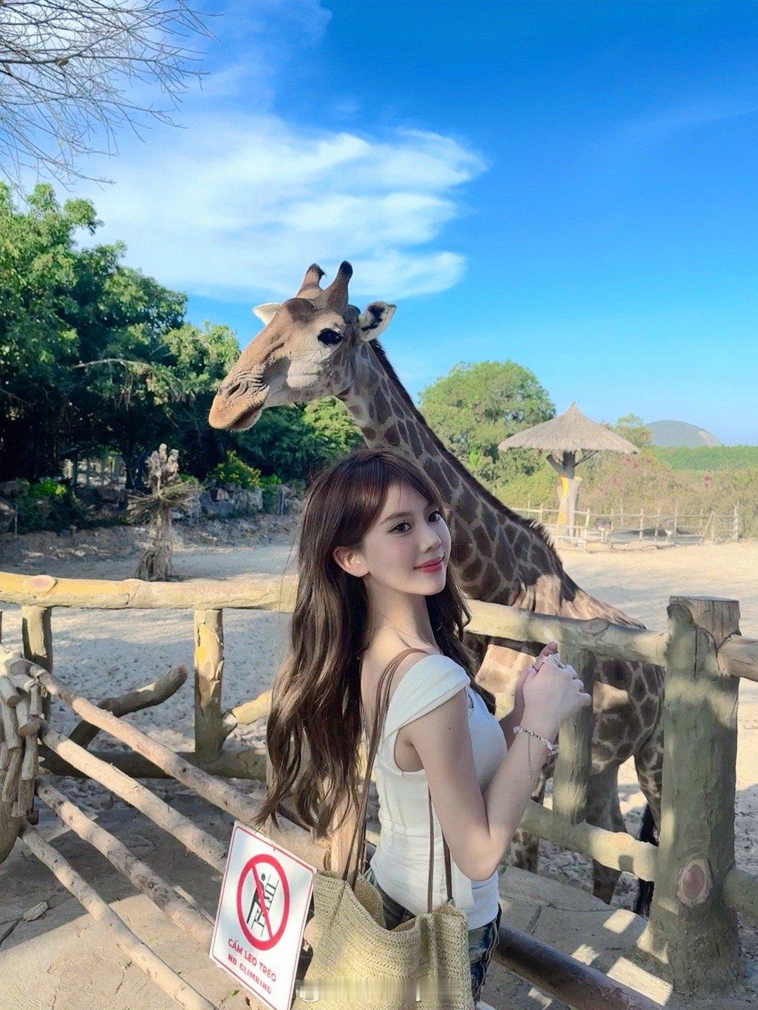 来到了全世界最最快乐的一座岛🎡🚠🎠🎢🦩🦒🐫🦈🦓🌊  ​​​