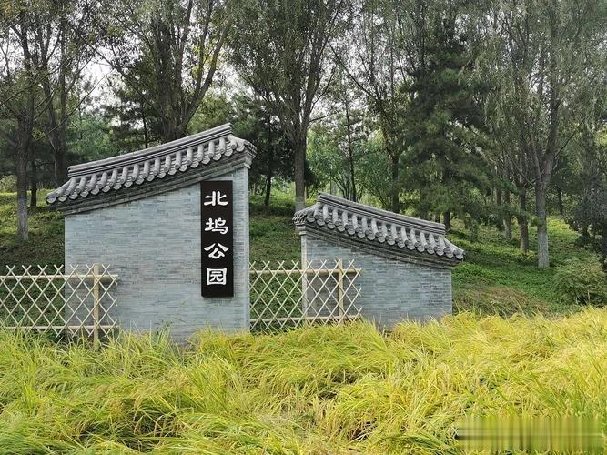北坞公园的定位既不同于郊野公园，也不同于城市公园。公园与周边颐和园、玉泉山以及其
