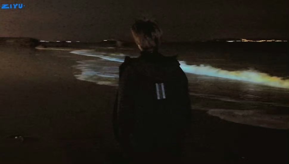 梓渝厦门晚上看海vlog真的很难找到一个对待粉丝如此用心的艺人，会在晚上去到海边