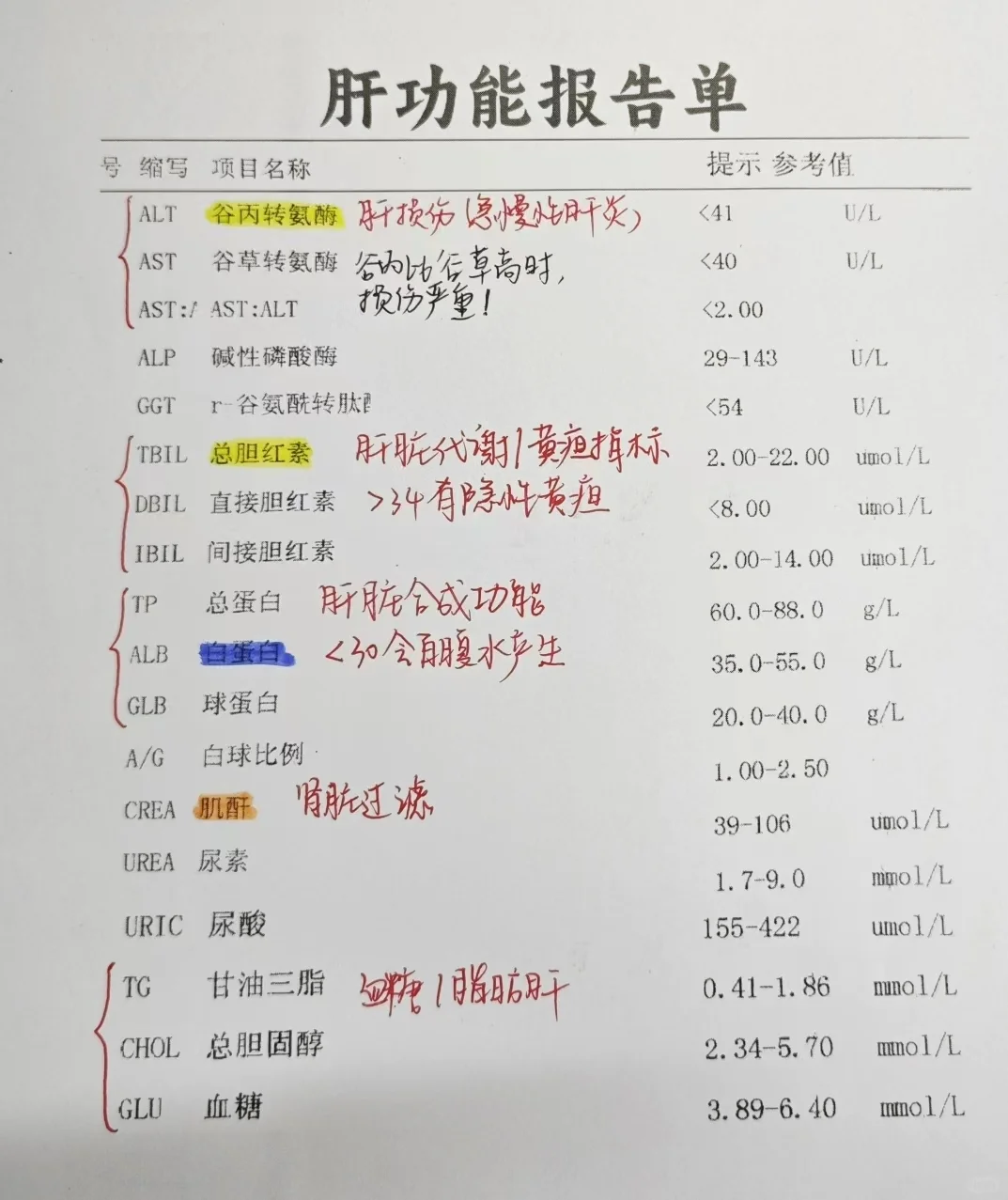 肝功能报告单！！