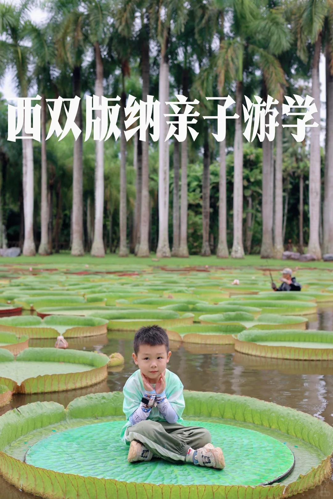 暑假/十一西双版纳亲子游学6日 🔥爆推荐