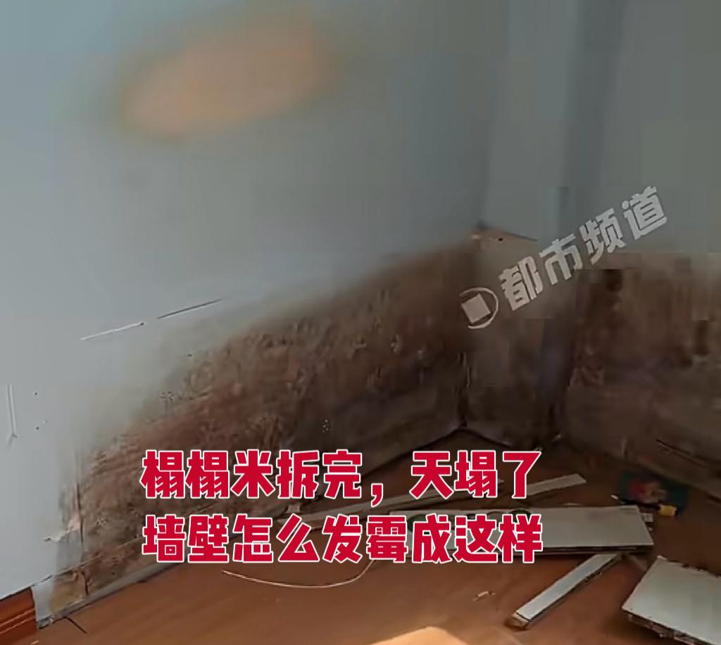 天塌了！家里有榻榻米的，赶紧去查一下吧！

江苏的一位女士，拆掉了家里用了十几年