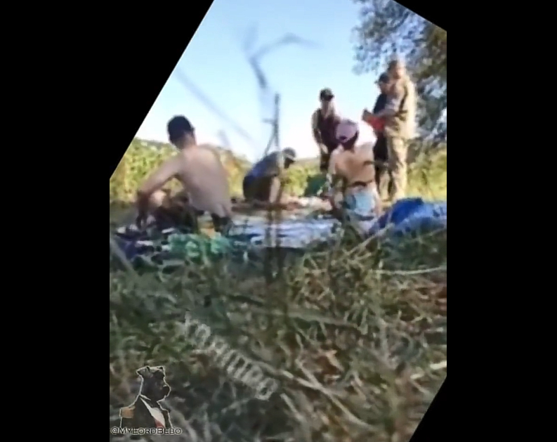 仗打到兵都没人肯当了，你哪儿来的底气？人本就少别再死了，坐下谈谈吧！不磕碜[喵喵