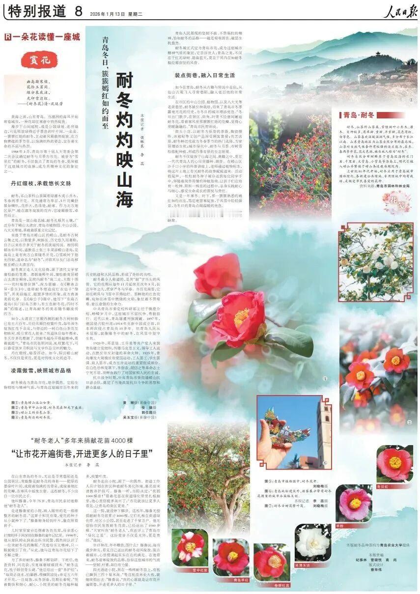 1月13日，《人民日报》整版报道《从一朵花，看见青岛的“气质”》。
1988年3