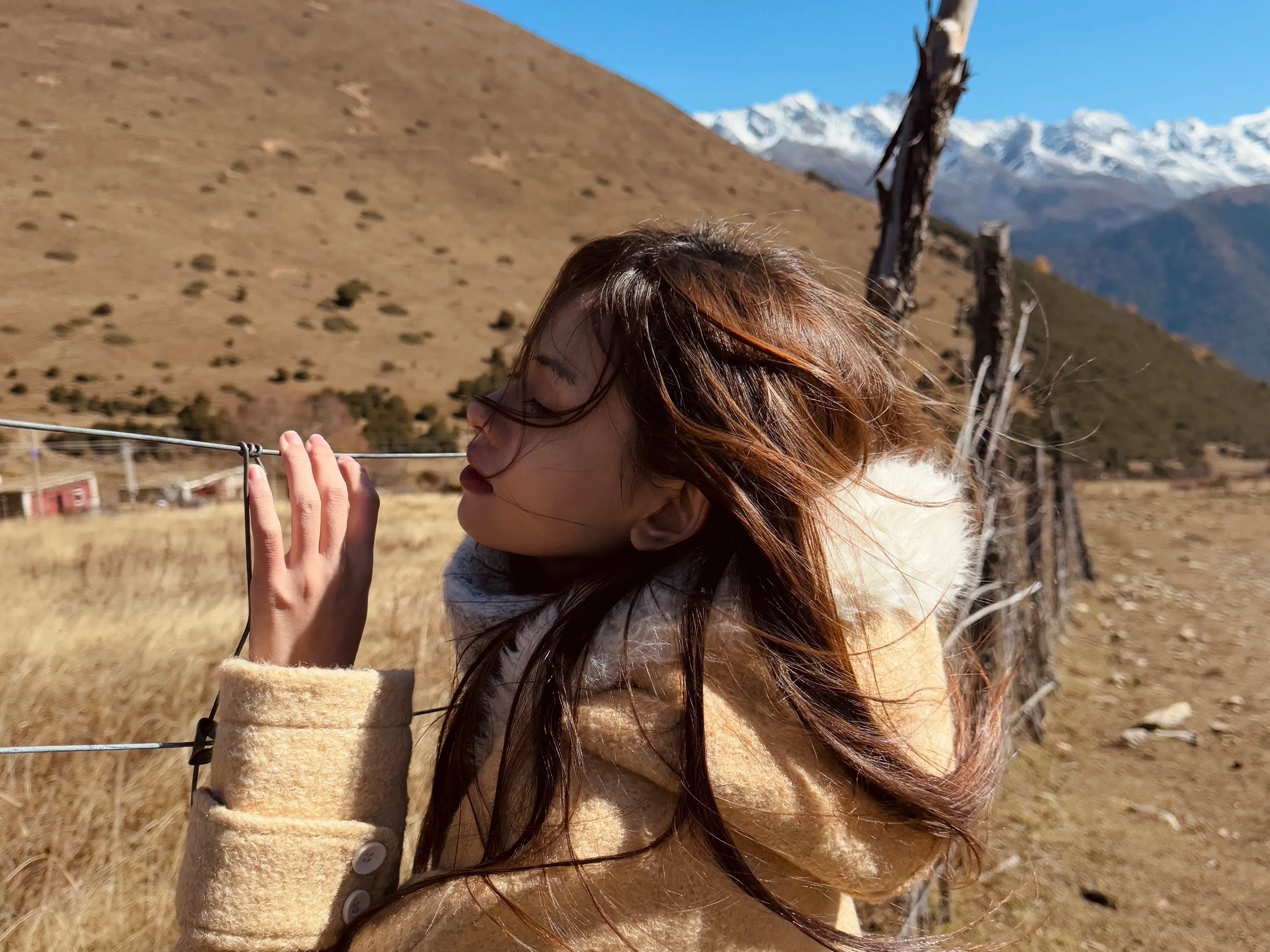 如果你迟迟学不会珍惜 那就让离别成为我送你的最后一课