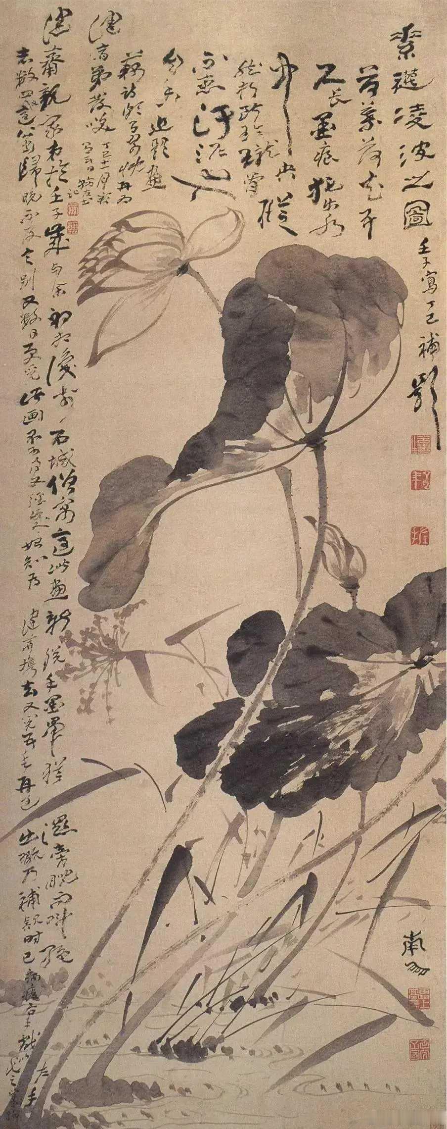 高凤翰 左手画荷花图轴，济南市博物馆藏。此图画面上方，绘荷花一朵，正值开放，花柄