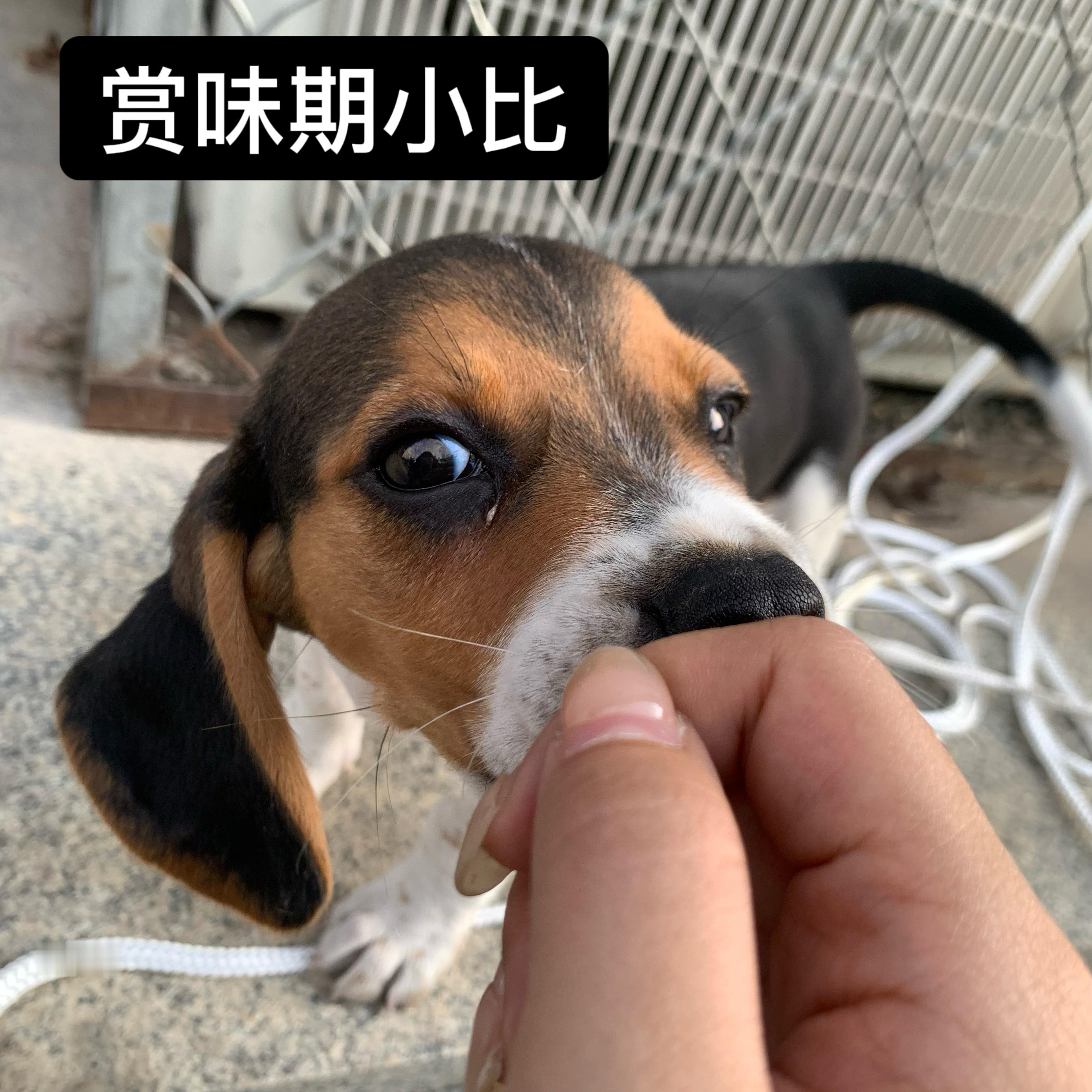 豆在干嘛 痴情的班主任请再等暑假一世吧。 