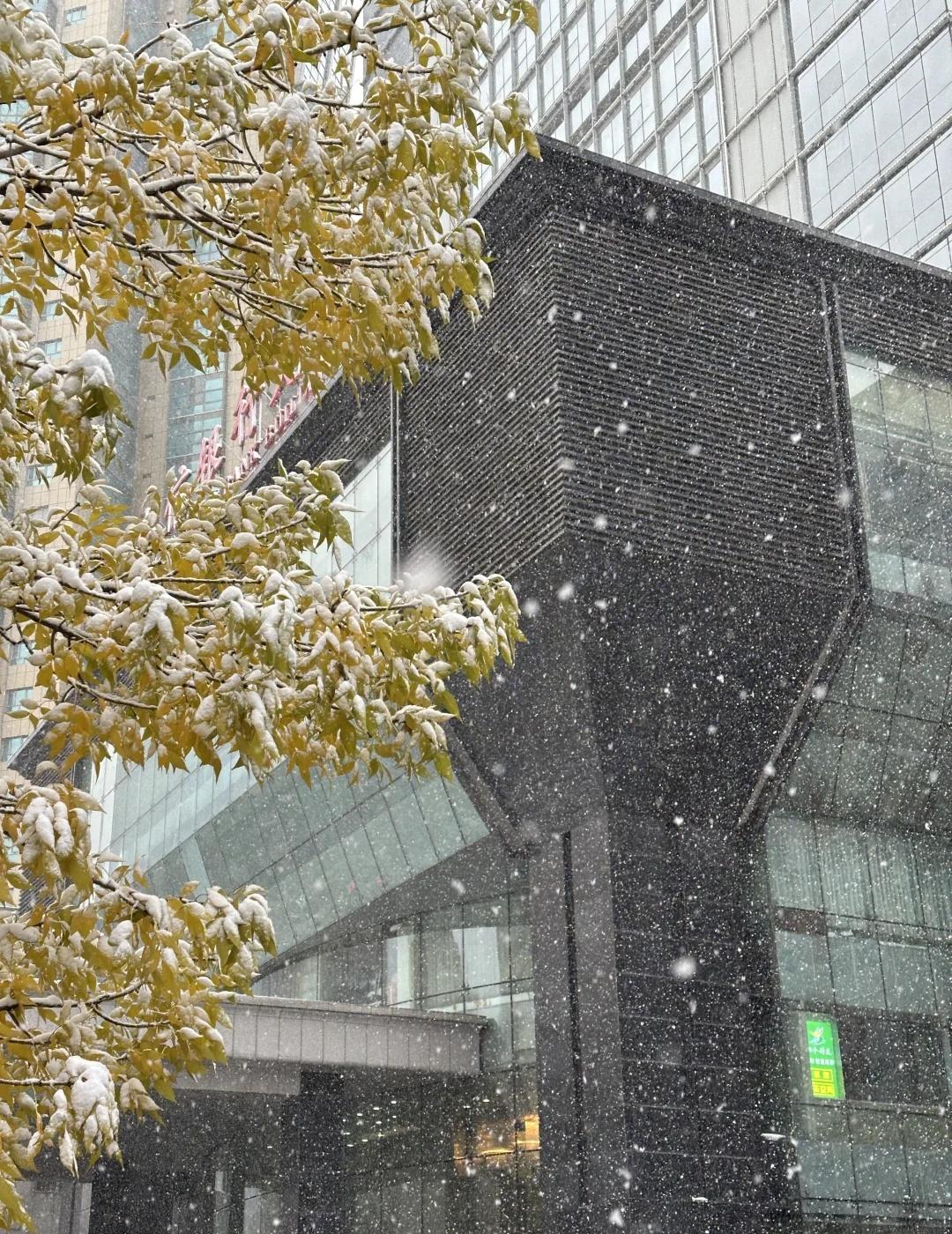 下雪了
明明感觉冬天才刚过去，可是眨眼冬天又来了[流泪]今年第一场雪 乌鲁木齐下