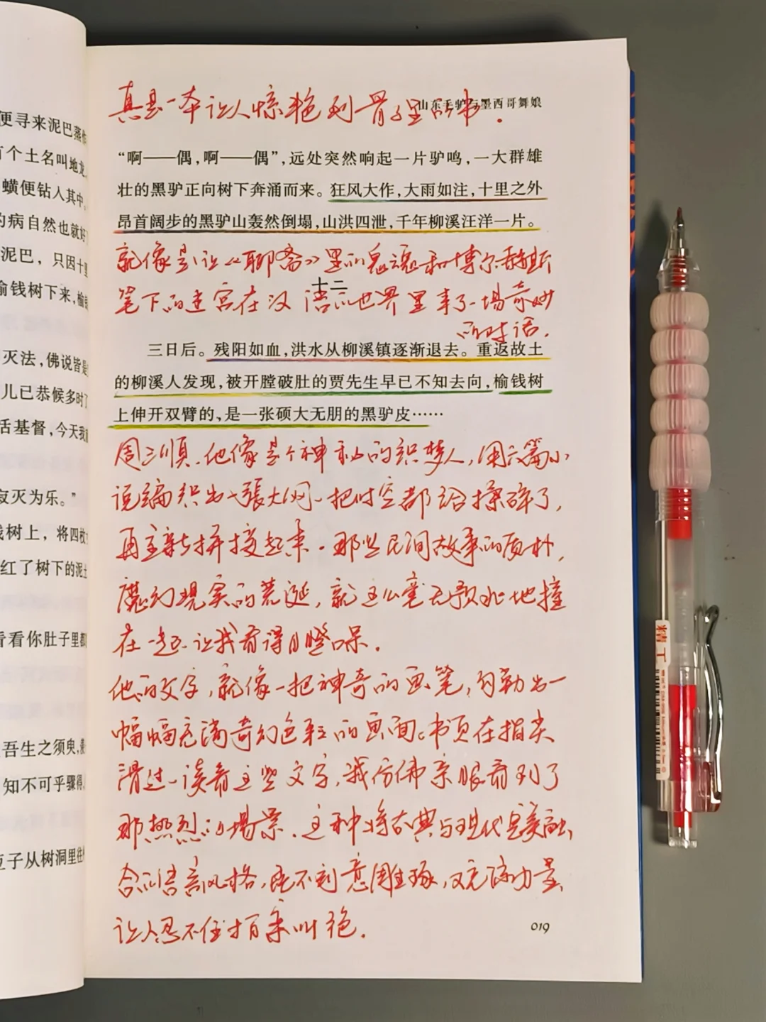 我今年读过最惊艳的书！想安利一万遍！！