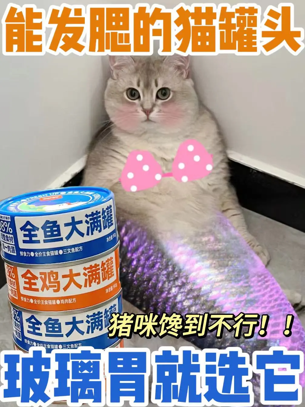 太牛了吧！玻璃胃猫本命猫罐头就是他了😭