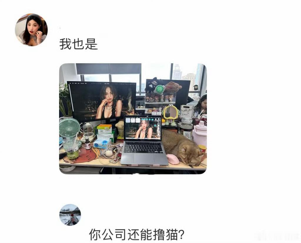 建议女生不要在网上过度分享一看这个电脑就不是要离职的 