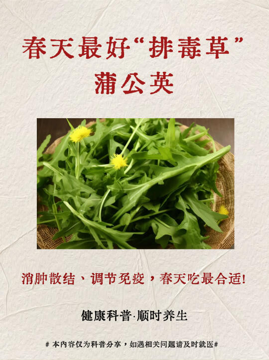 春天必吃的“排毒草”——蒲公英，错过再等一年