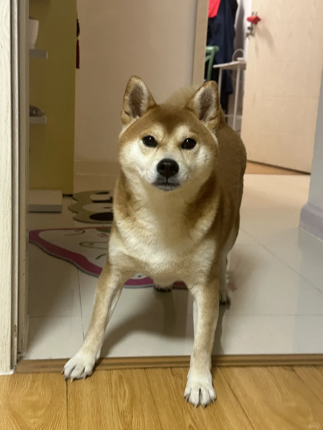 快来玩呀人类