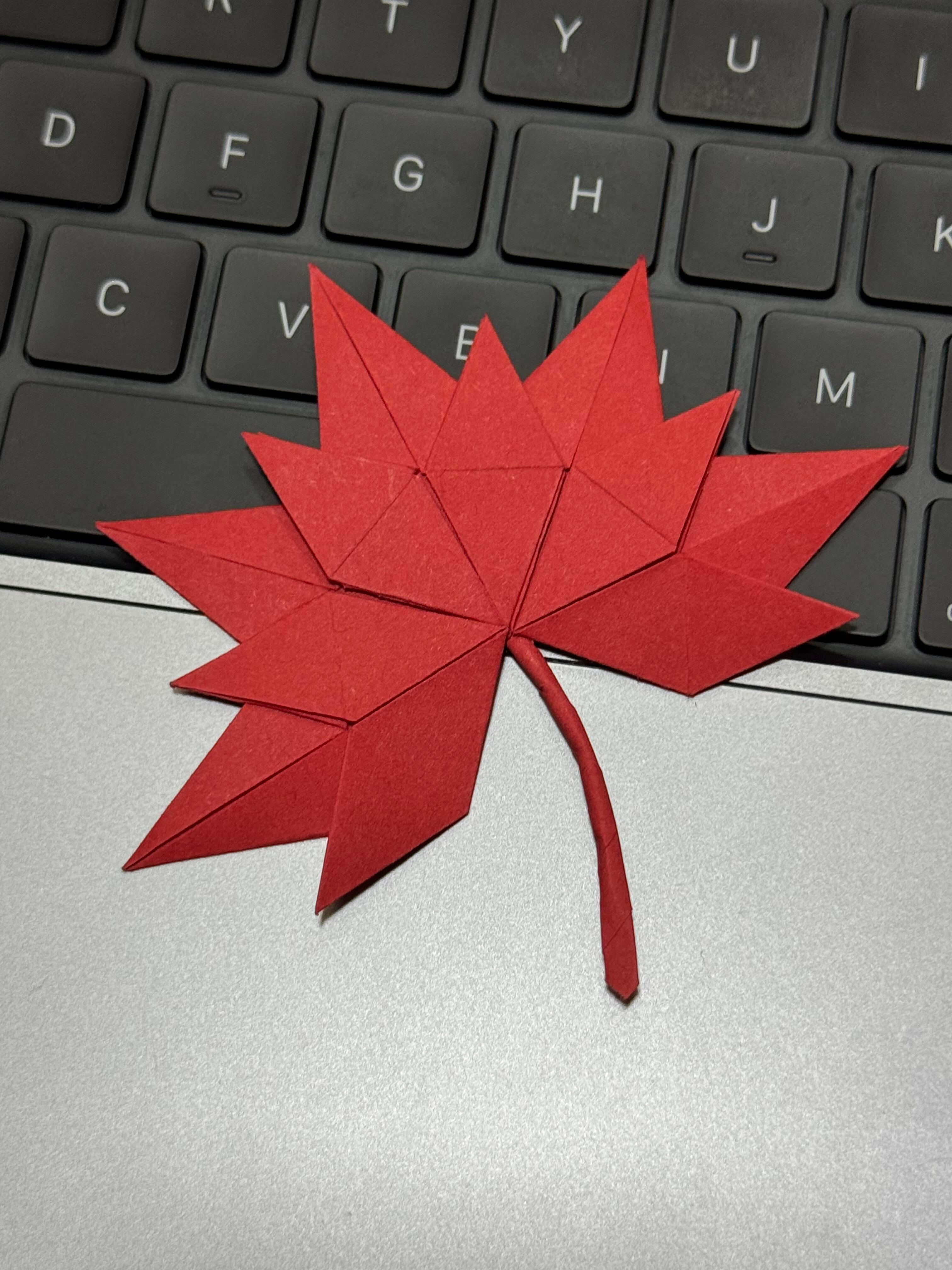 枫叶折纸详细教程🍁 