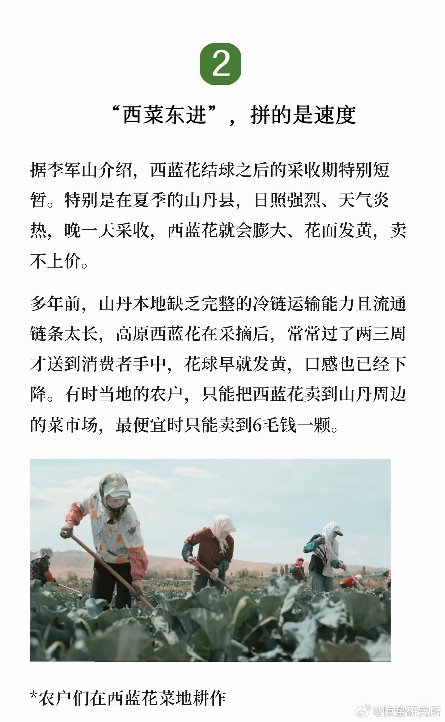 高原西蓝花向东2800公里：一场与时间的赛跑最近在小象超市下单过西蓝花的广东朋友