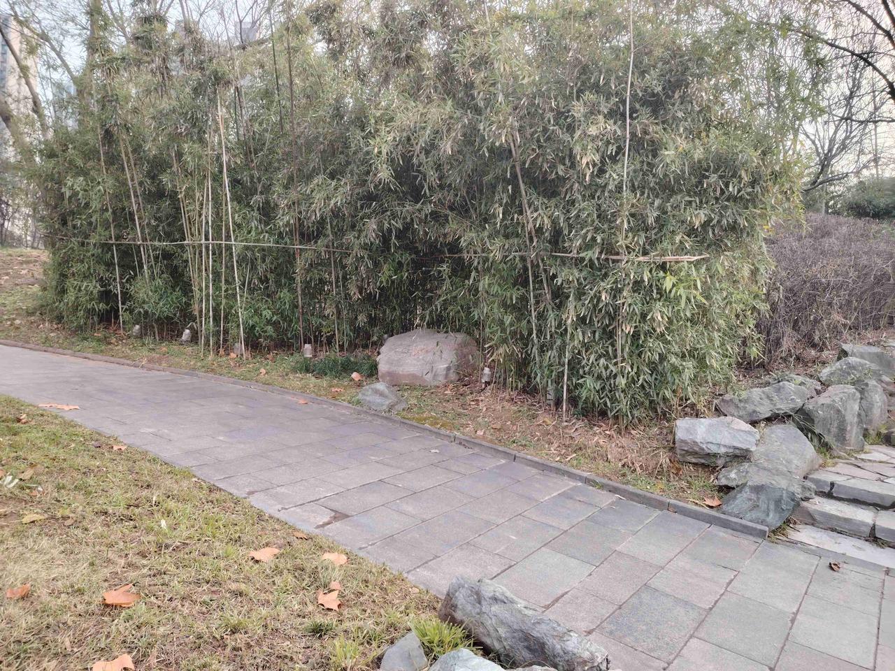 我的今日状态：😁轻松愉快
我这里的天气：🌈雨过天晴
全国多地为进一步减轻学生