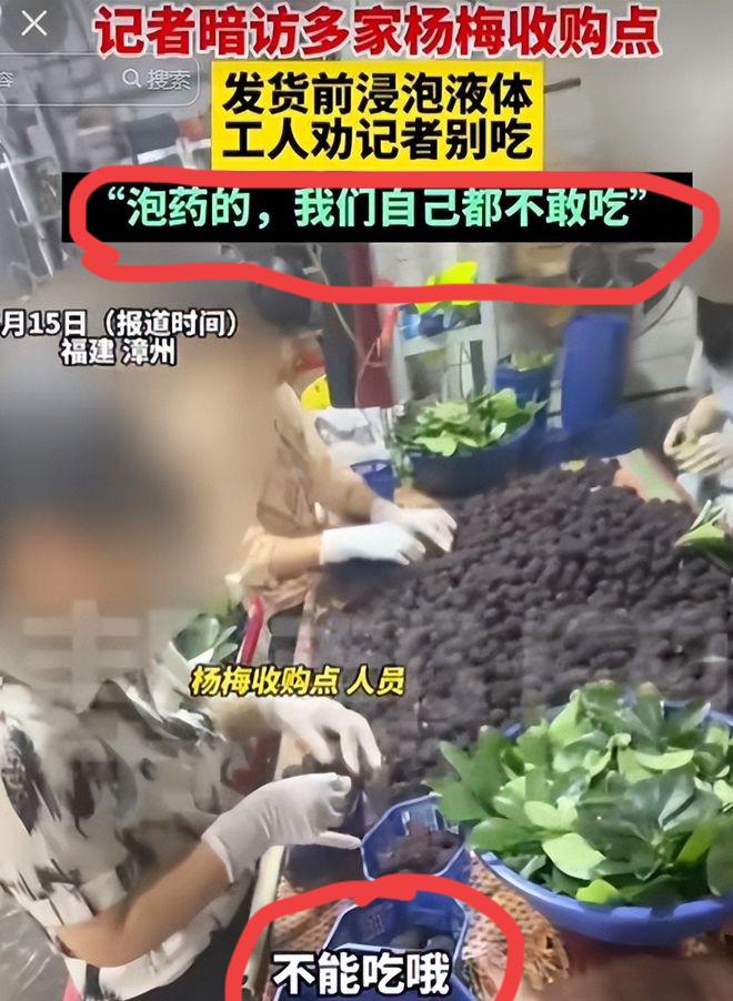 别了，杨梅！
杨梅口碑已崩塌，
现在谁也别说啥。
瞒天过海害百姓，
终于轮到自己