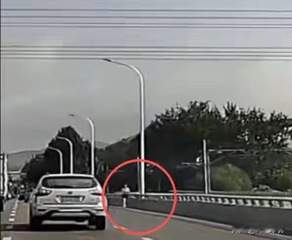 吓出一身冷汗！早高峰大连东快路有人逆行跑步！
早高峰的东快路车流特别大，一名女子