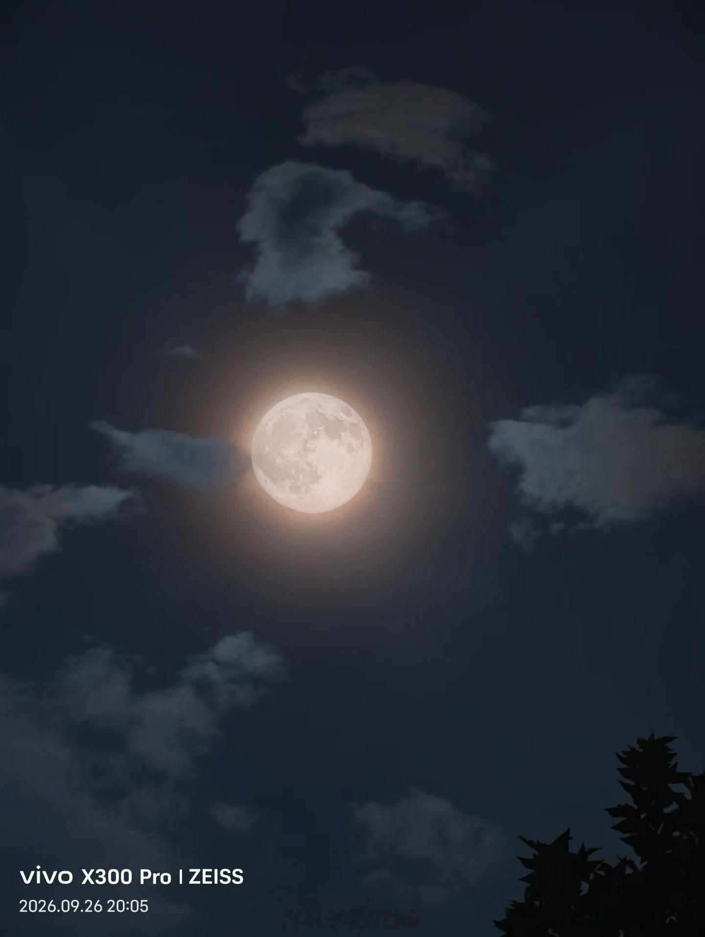 十五的月亮十六圆🌙 ​​​