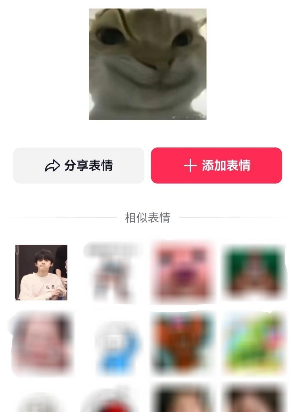 这是真小猫呀，这个表情包关联的相似表情是歪嘴左航哈哈哈哈哈左航一路向海的少年