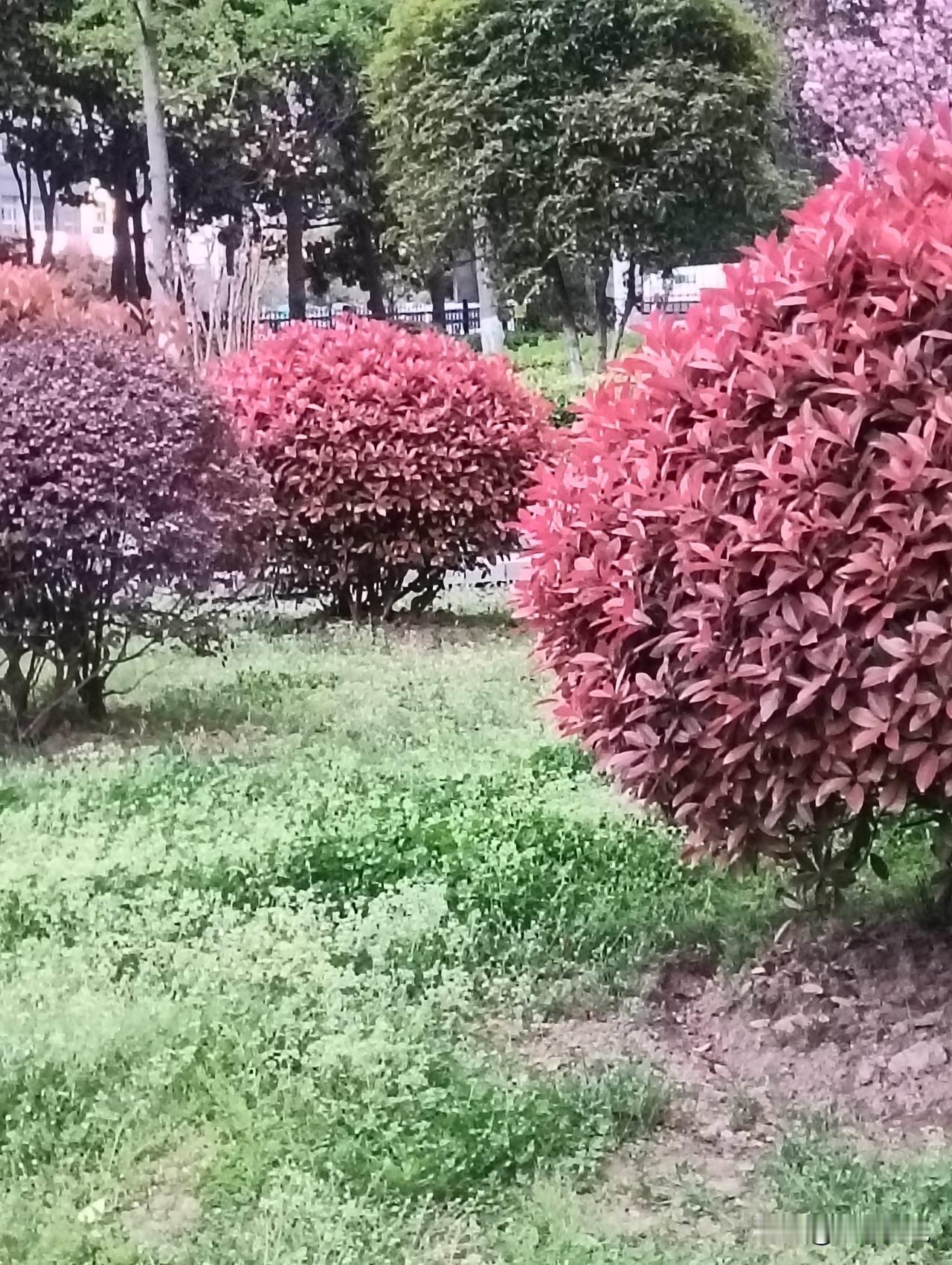 秋意渐浓，红叶如火，漫步林间，感受大自然的馈赠。人的一生最大的财富是什么?