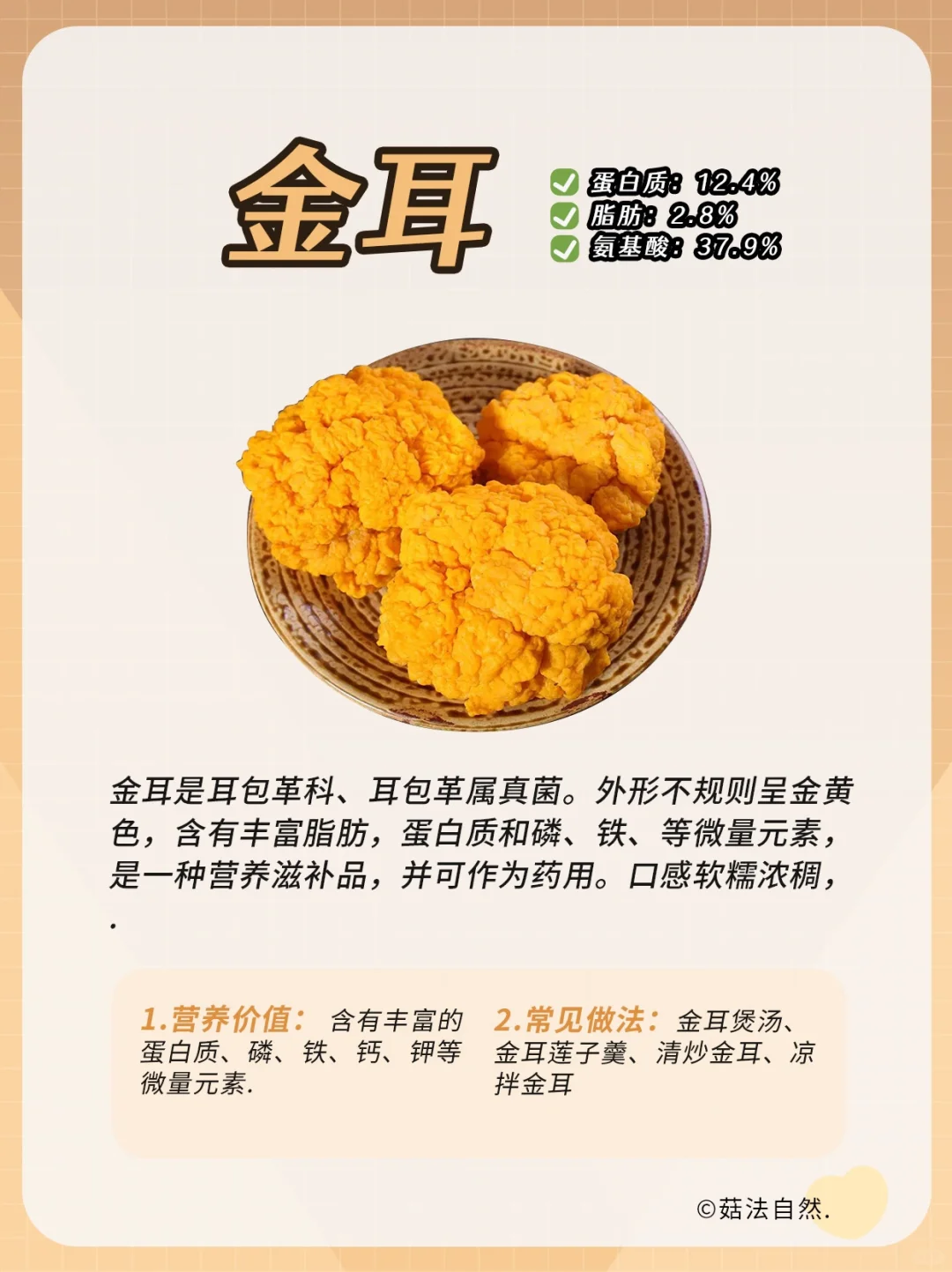 🔥每日菌菇科普——金耳❗️