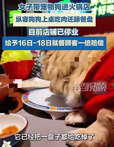 北京，女子带狗吃火锅，让狗上桌吃羊肉卷，还笑着拍视频炫耀，但这下笑不出来了！老板