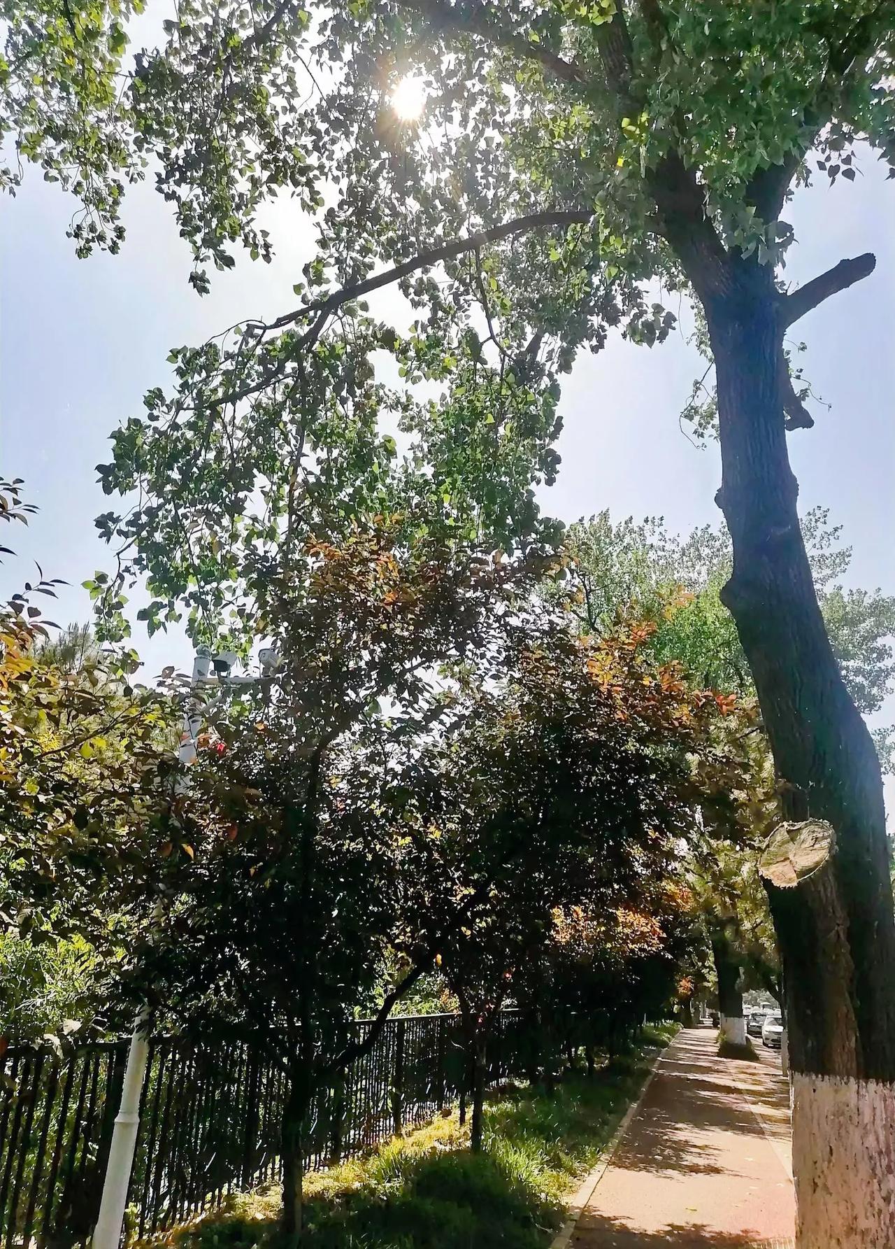 当然，如果你所在的位置很热闹或者靠近景区，当地人也很团结没有嫉妒心很强的，你也可