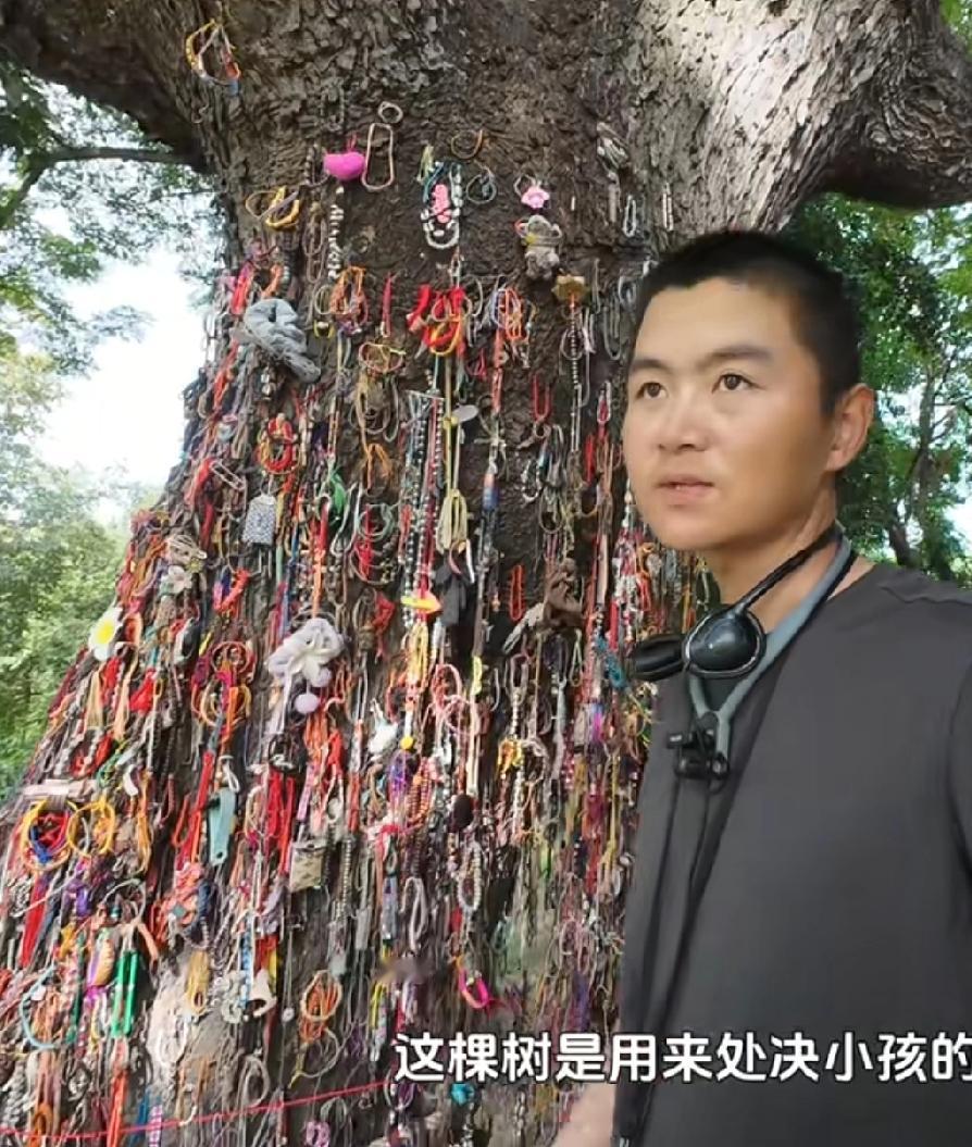 这棵树是用来处决小孩的，行刑人员在晚上抓起小孩的脚猛烈的砸向这棵树！
好沉重，每