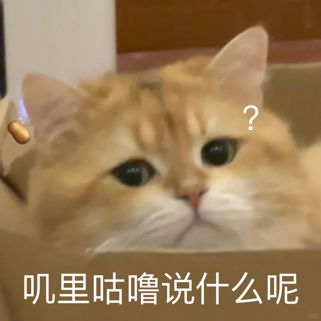 淡猫表情包 更新🀄️🥔