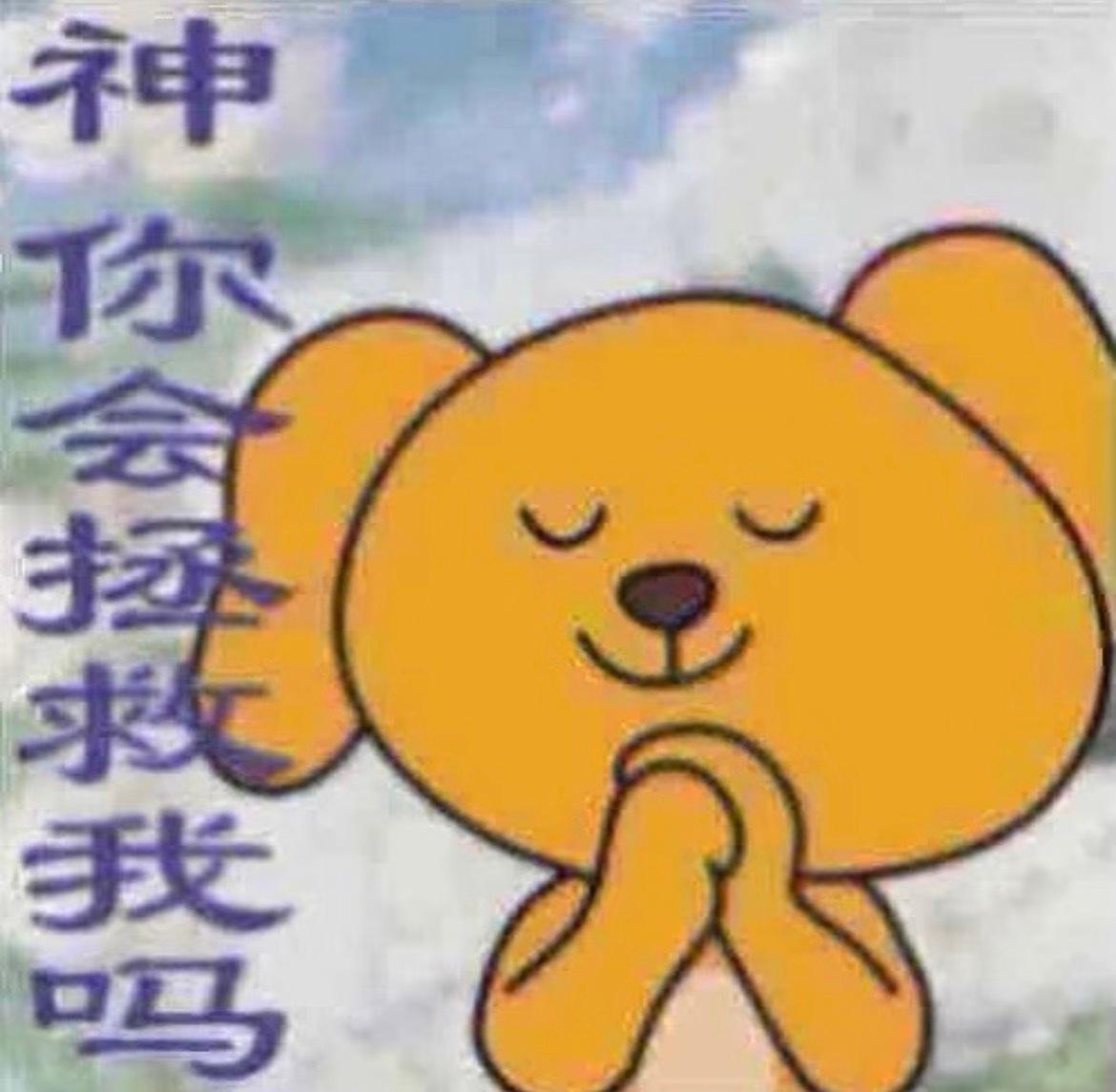 朋友老让我去看差了十几岁的百合文我说我不爱看差那么大的她非说好看。然后呢去搜了一