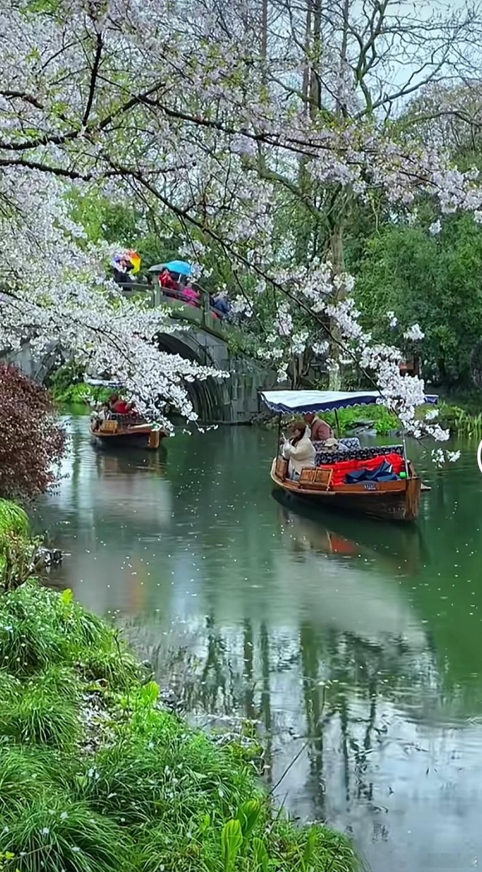 总能讨人喜欢的人你也会跟着开心情感在这个世界上，总有那么一些人，他们仿佛拥有魔力
