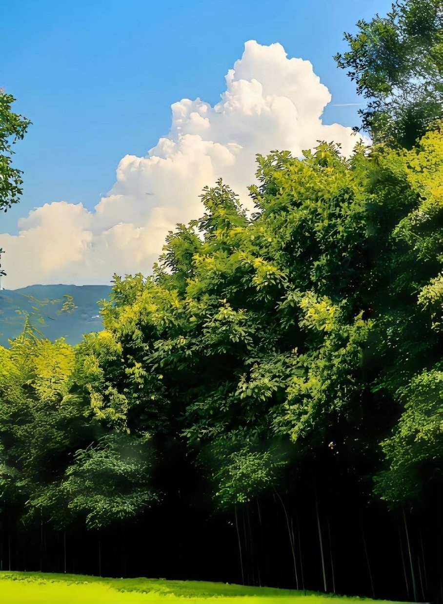 一滴水是微不足道的，渗入泥土，便会消失不见，可汇聚成河却是川流不息。如同我们，在