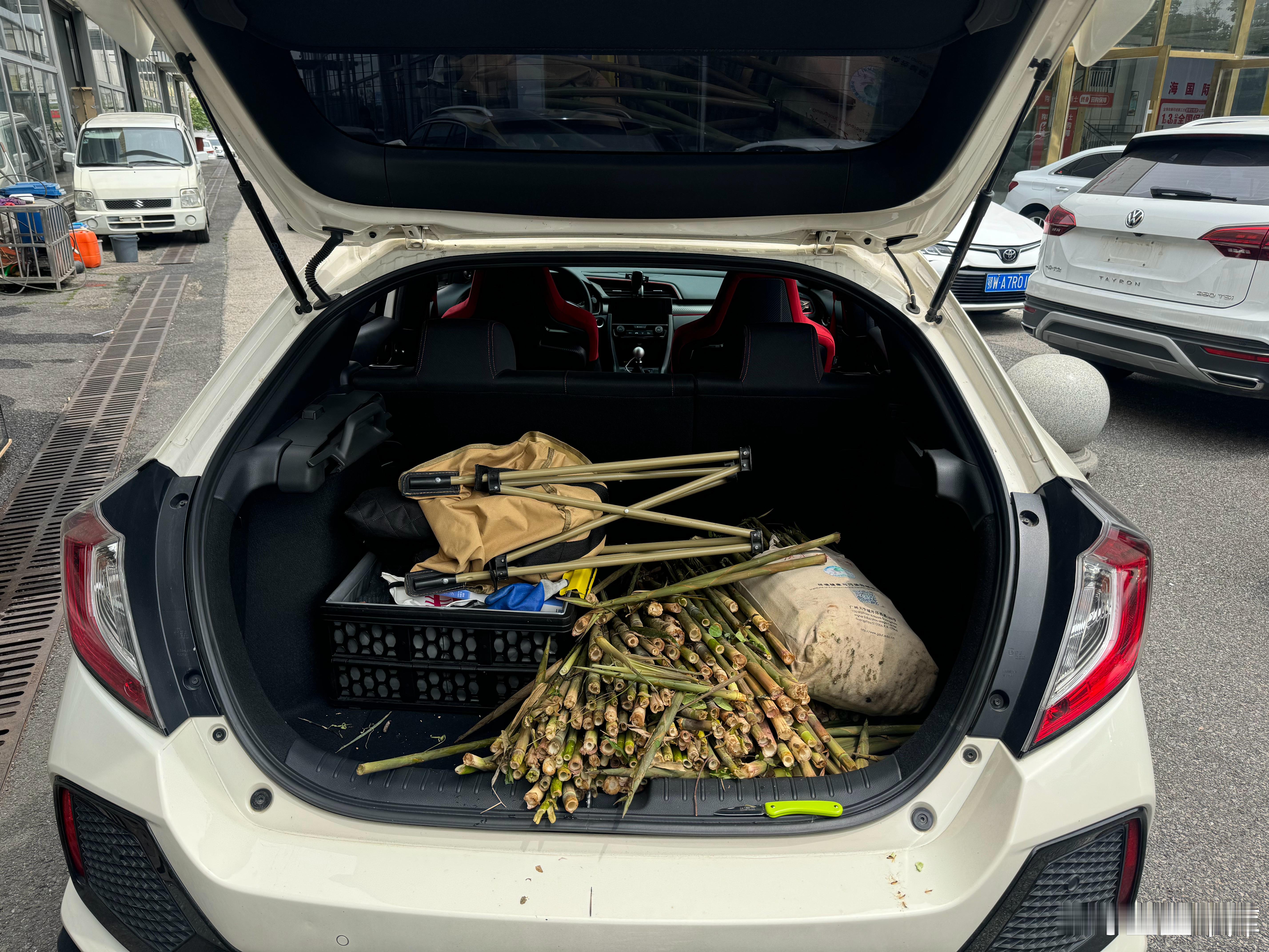 今天啥事不干拖了一后备箱笋尖 