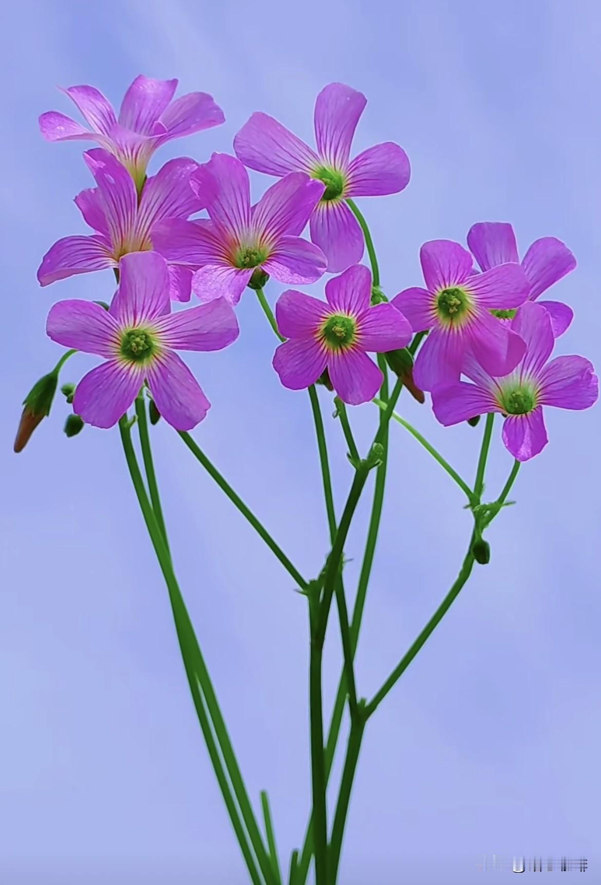 春天是充满生机的季节，
愿你身体与心灵都如春天般充满能量，活力满满，迎接每一个美