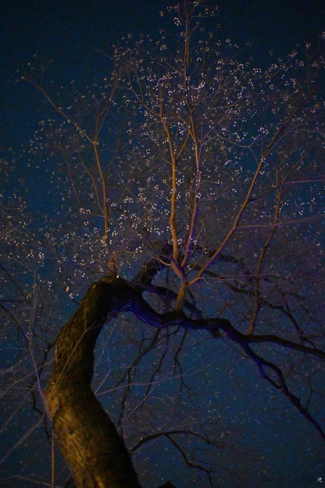 随手拍个星空。 南京