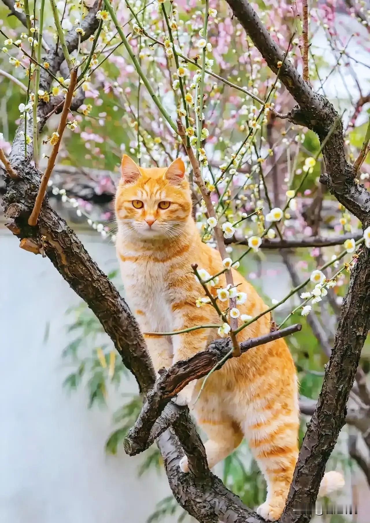 患白血病的人真的有治愈的吗?
我是2019年患的白血病，2021年医院治疗结束。