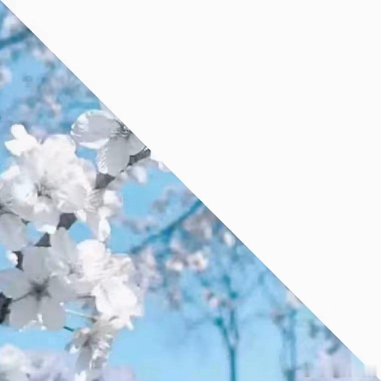 鞠婧祎≧∪≦+🐾+小鞠生日快乐呀+ℰℴ ♡ ℬℴ+翻开你人生的第32页🌊○。