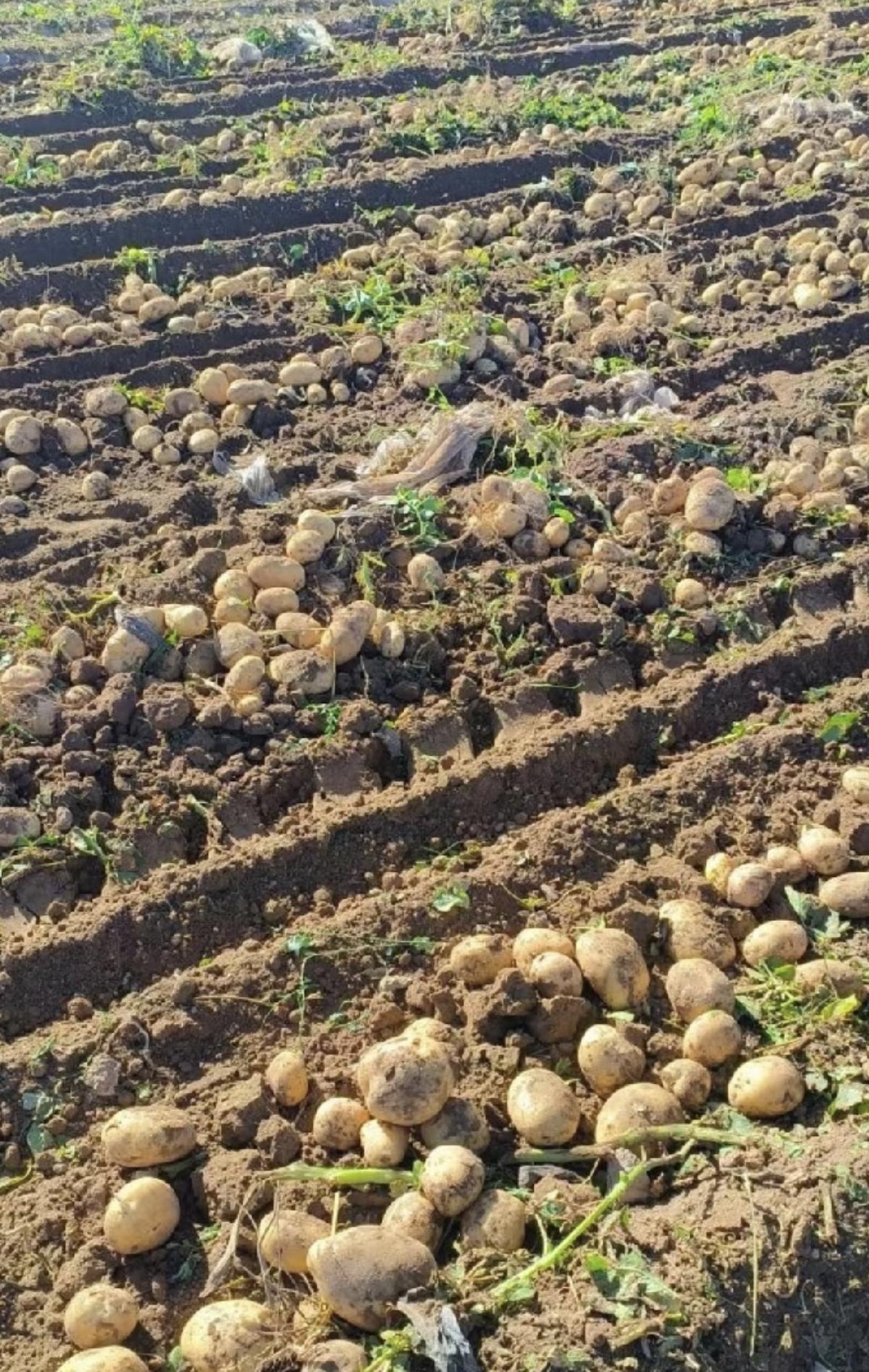 我邻居小王，在某大厂做程序员。每天早上九点上班，晚上十点才下班。这个工作累是累了